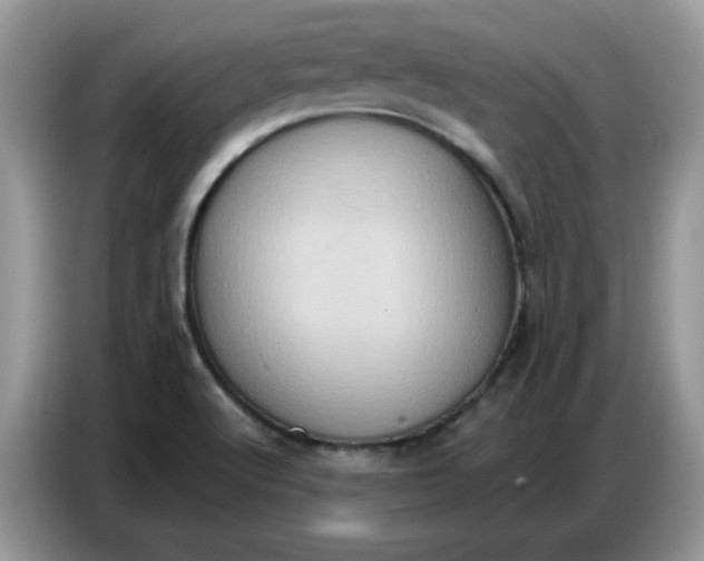 X0000086751512200704271700