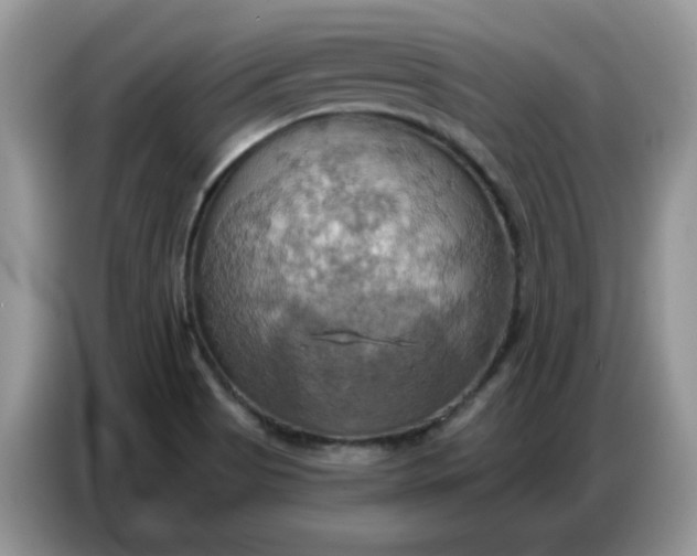 X0000086751513200704271700