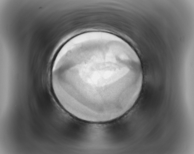 X0000086751514200704271700