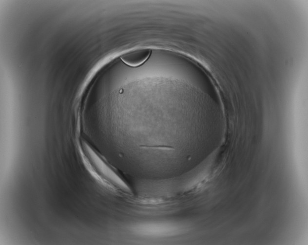 X0000086751515200704271700