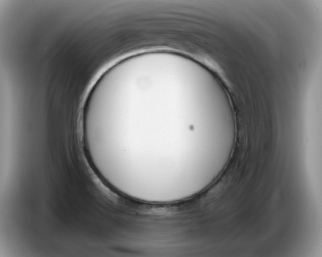 X0000086751516200704271700