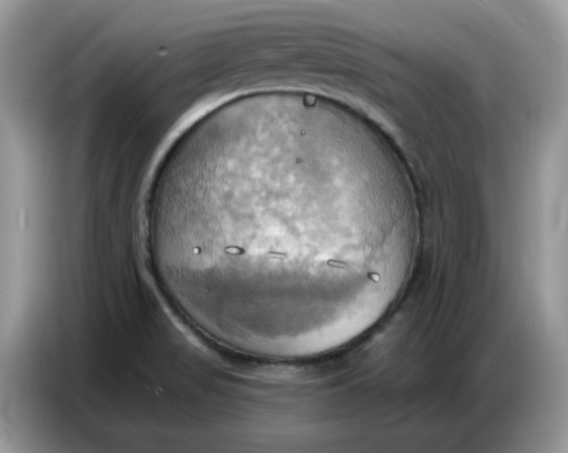 X0000086751517200704271700