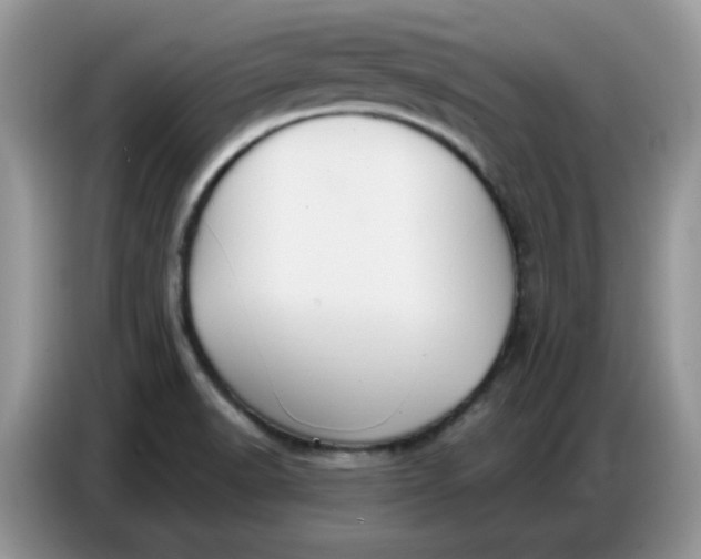 X0000086751518200704271700