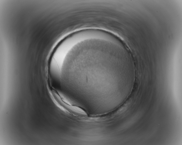 X0000086751519200704271700