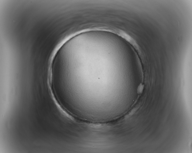 X0000086751520200704271700