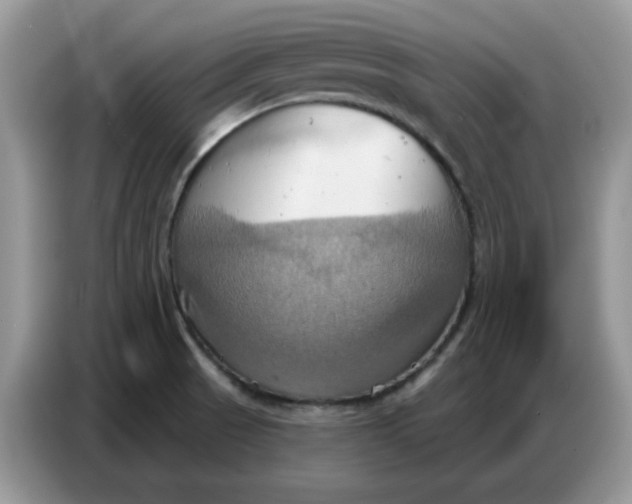 X0000086751521200704271700