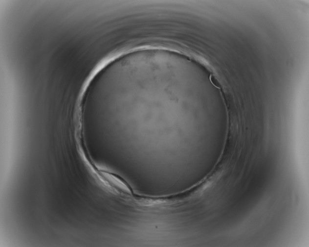 X0000086751522200704271700