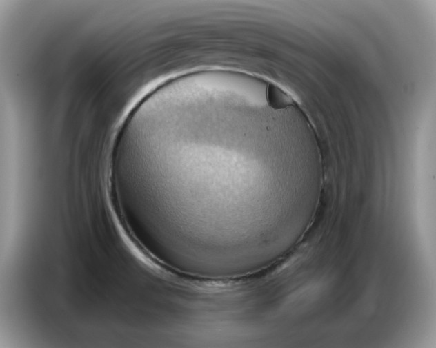 X0000086751523200704271700