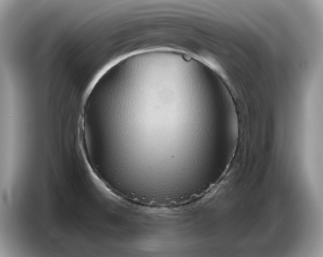 X0000086751524200704271700