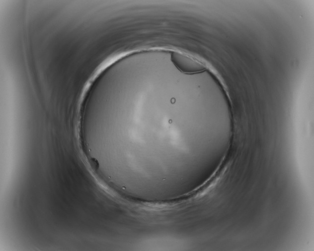 X0000086751525200704271700