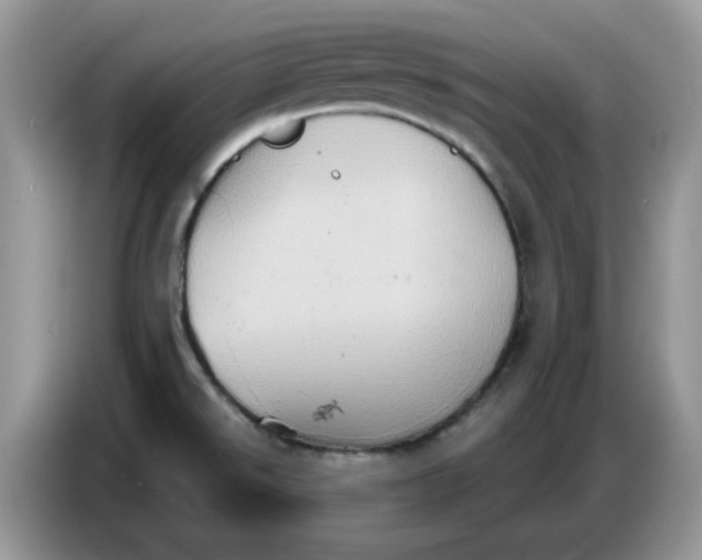 X0000086751526200704271700