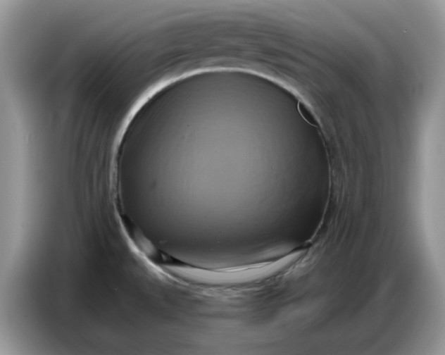 X0000086751527200704271700