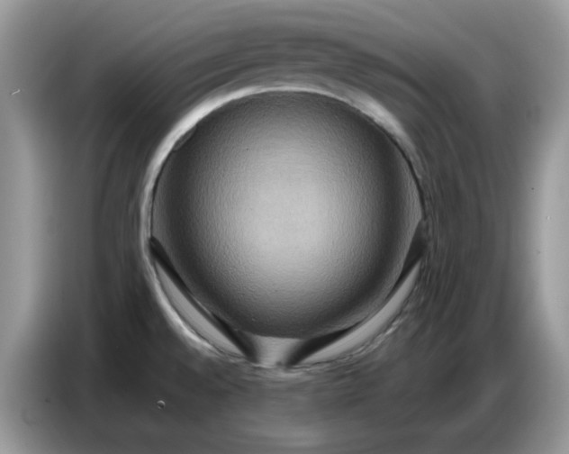 X0000086751528200704271700