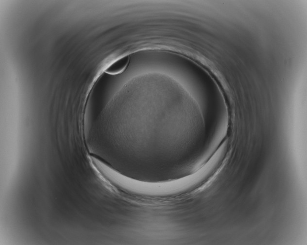 X0000086751529200704271700