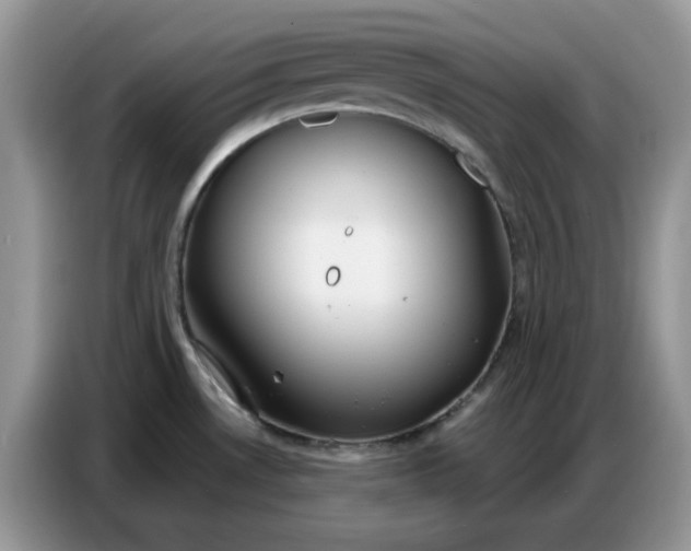 X0000086751530200704271700