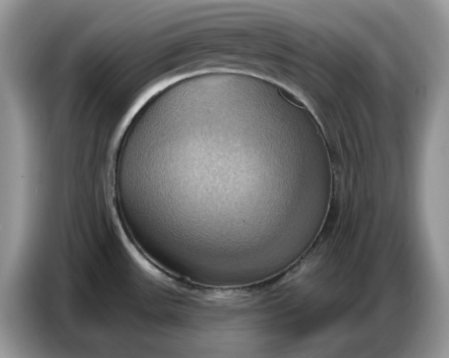 X0000086751531200704271700