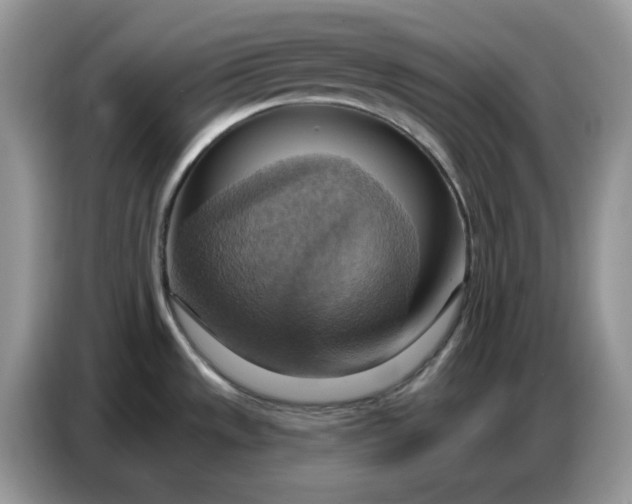 X0000086751533200704271700