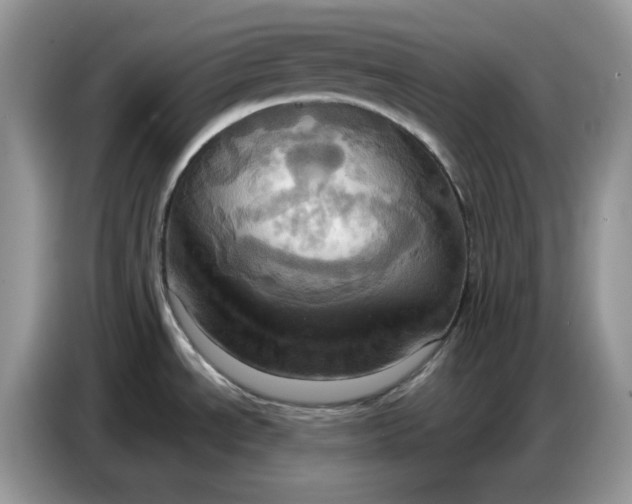 X0000086751534200704271700