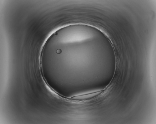 X0000086751535200704271700