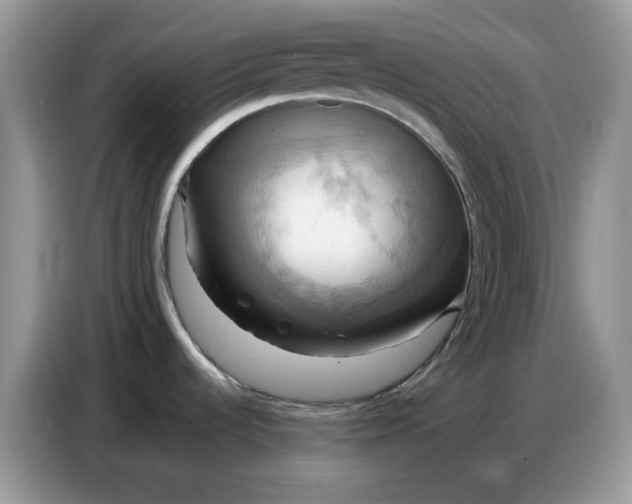 X0000086751536200704271700