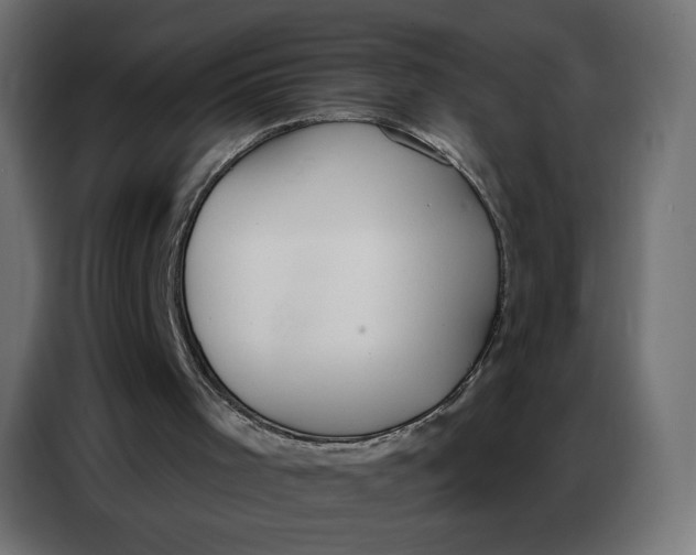 X0000086750001200705041437