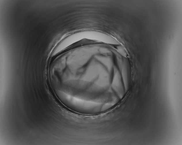 X0000086750002200705041437