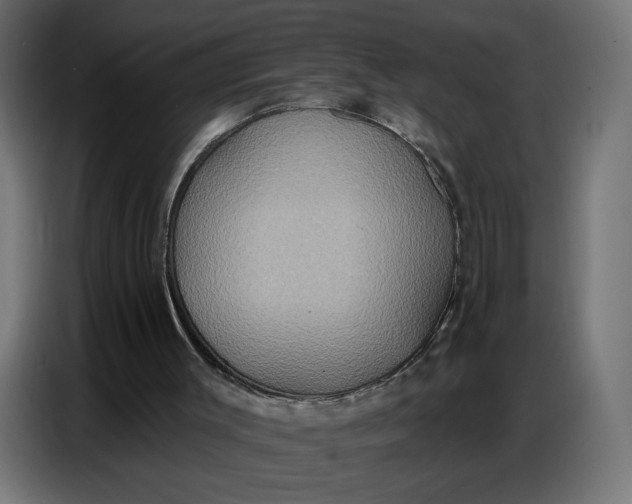 X0000086750003200705041437