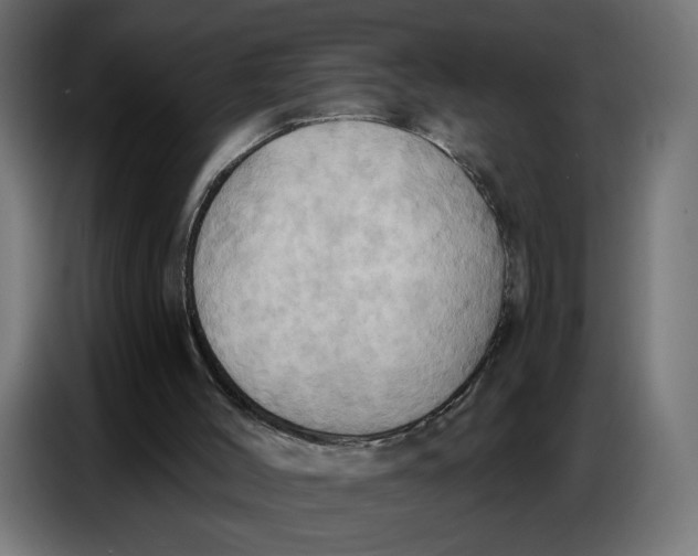 X0000086750004200705041437