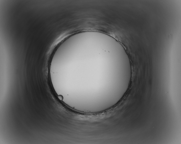 X0000086750005200705041437