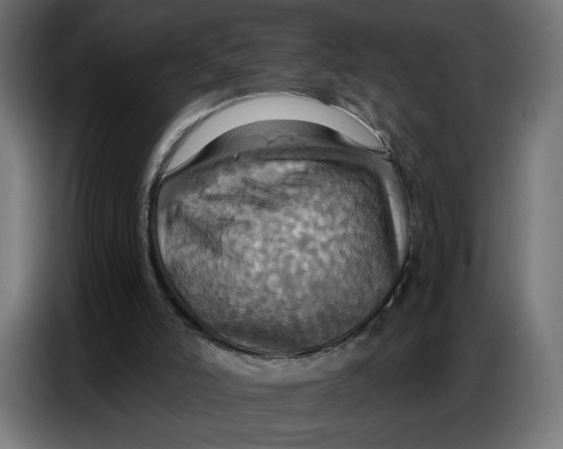 X0000086750006200705041437