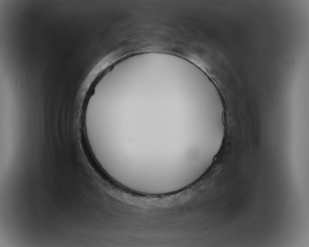 X0000086750007200705041437