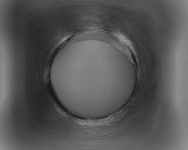 X0000086750009200705041437