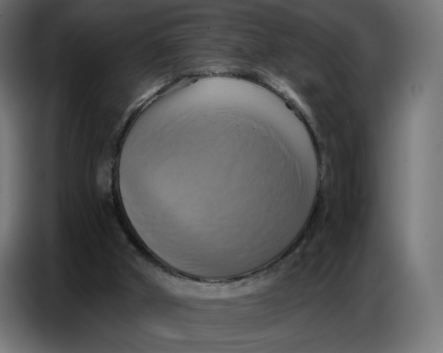 X0000086750010200705041437