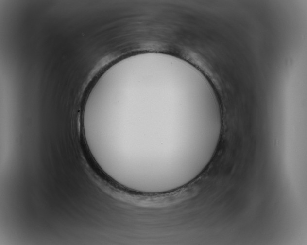 X0000086750011200705041437