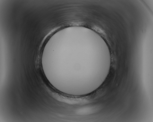 X0000086750012200705041437