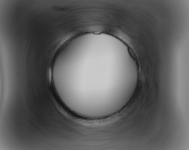 X0000086750013200705041437