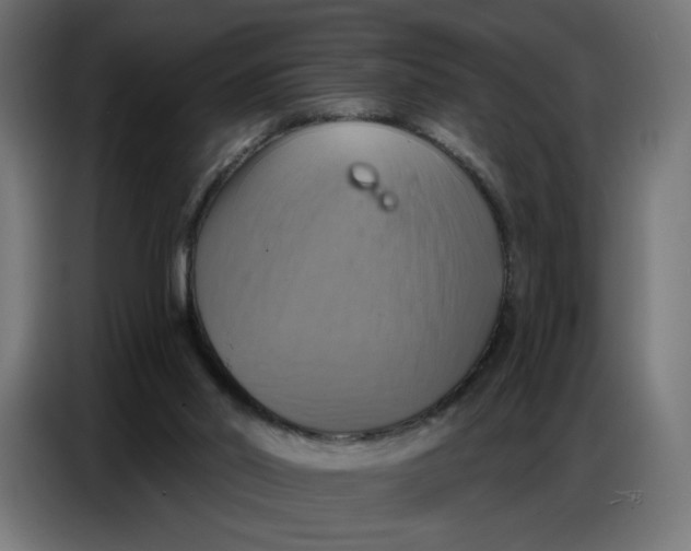 X0000086750014200705041437