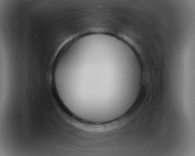 X0000086750015200705041436