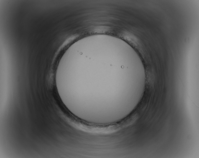 X0000086750016200705041436