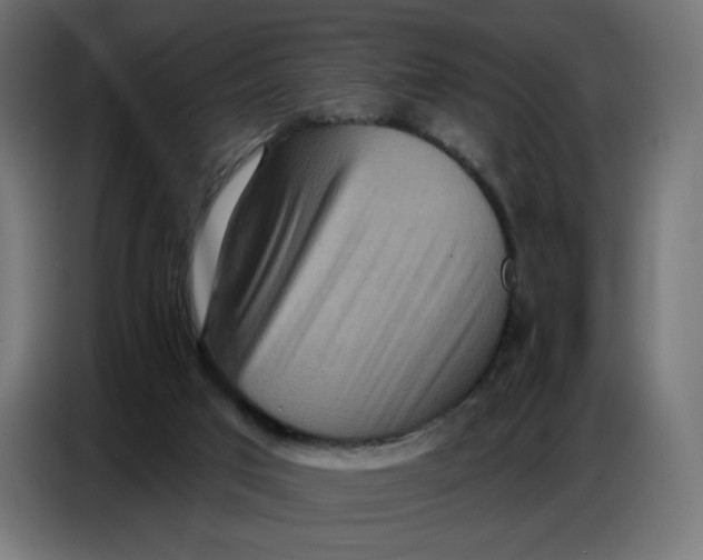 X0000086750017200705041436