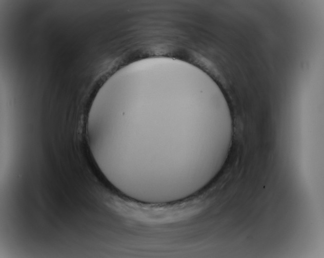 X0000086750018200705041436