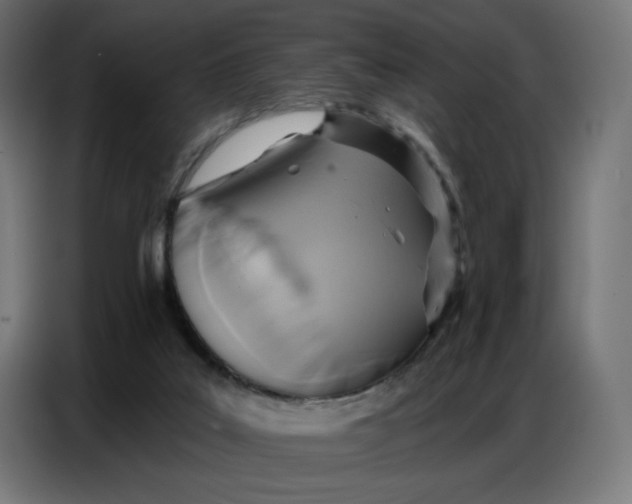 X0000086750019200705041436