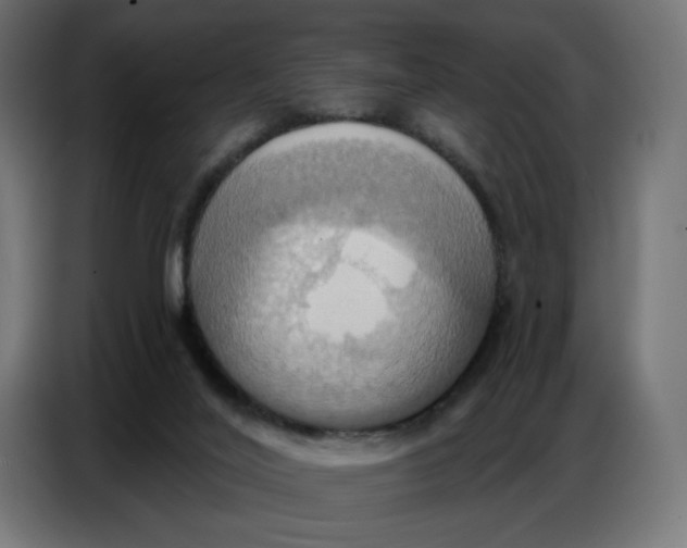 X0000086750020200705041436