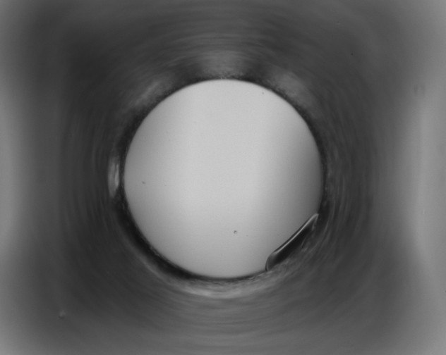 X0000086750021200705041436