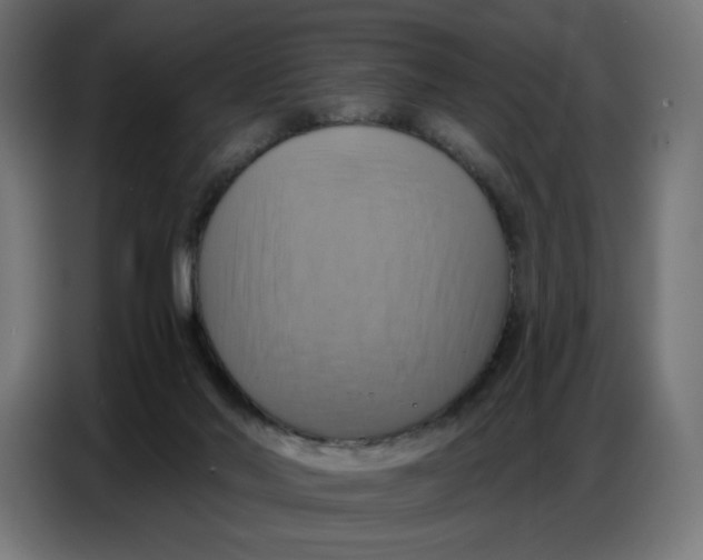 X0000086750022200705041436