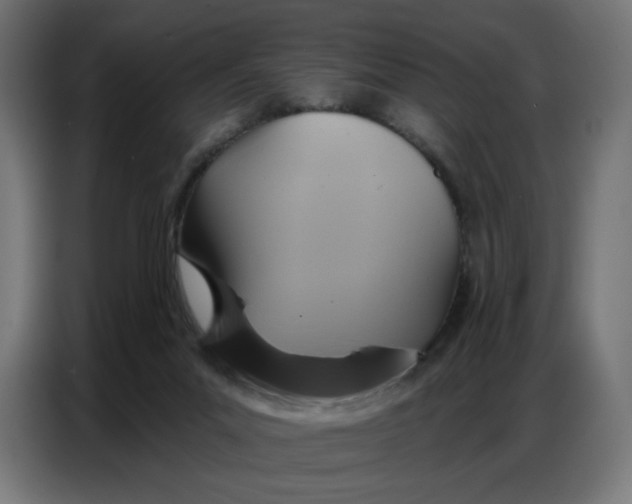 X0000086750023200705041436