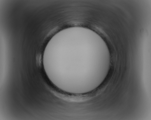 X0000086750024200705041436