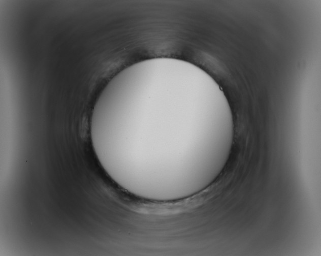 X0000086750025200705041436