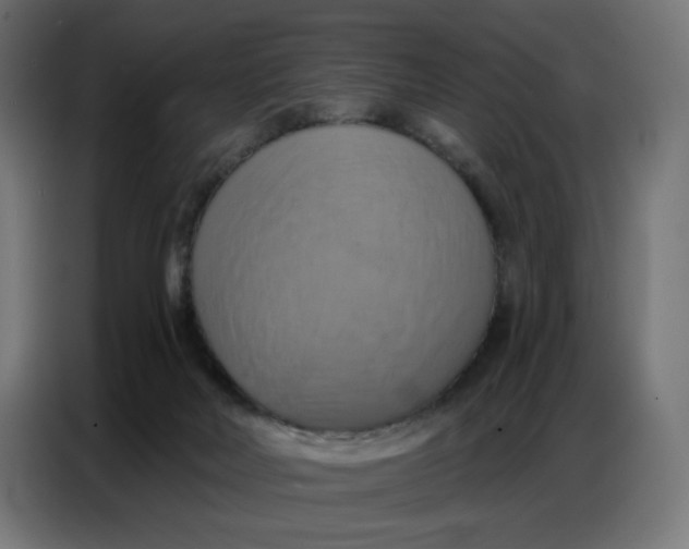 X0000086750026200705041436