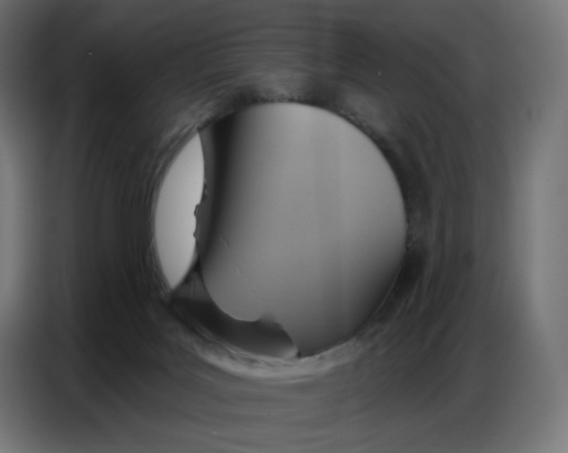 X0000086750027200705041436